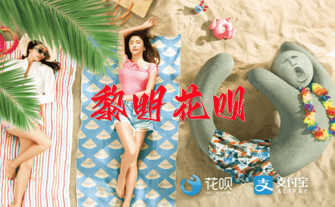 麦秆掩顶花呗
